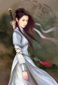 次元世界追索記錄